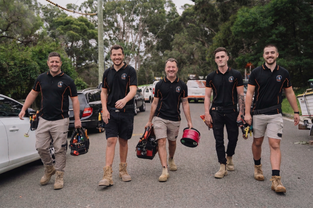 Professional electrical services in Petersham